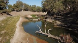 Murray Darling Basin